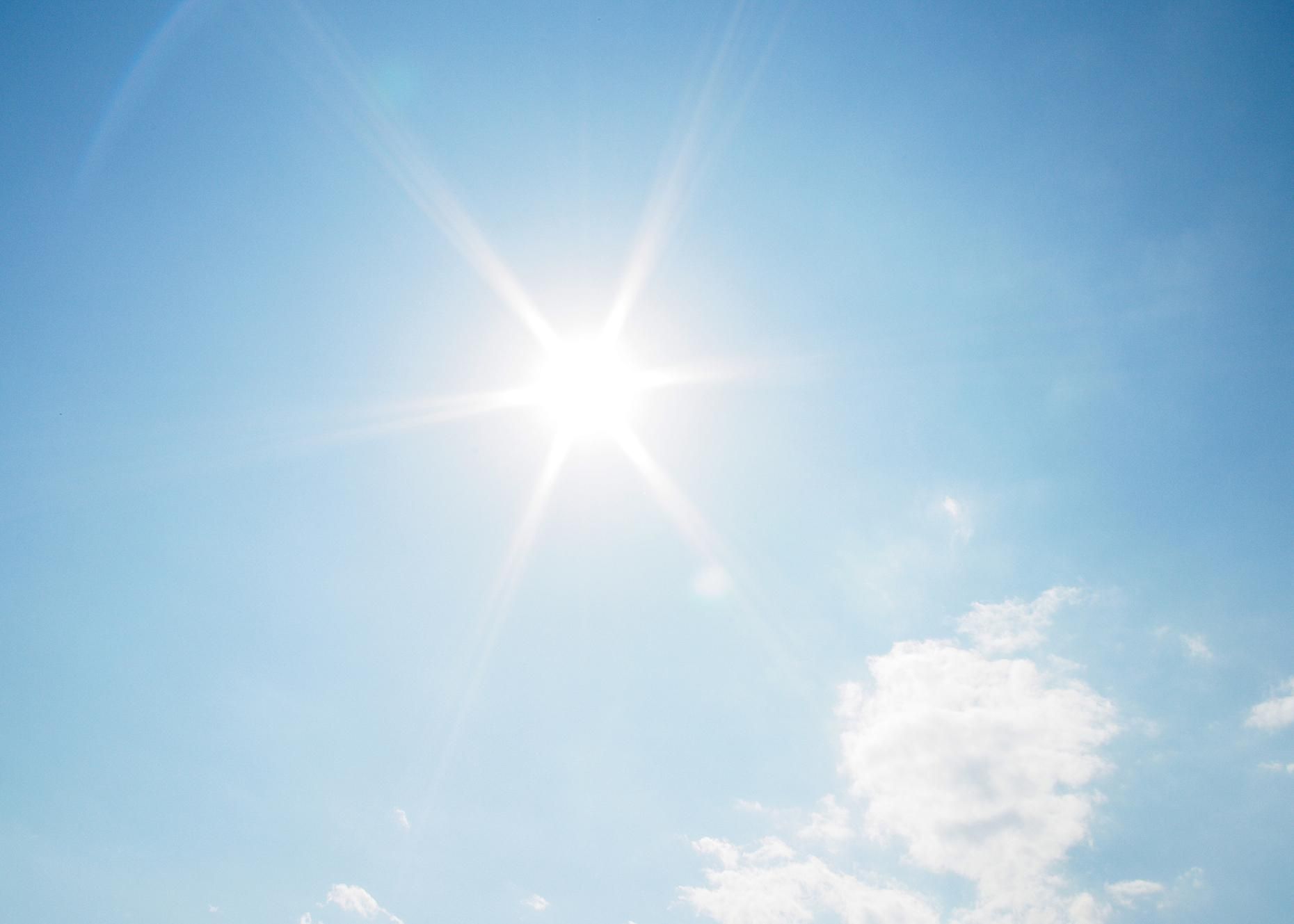 天日干し